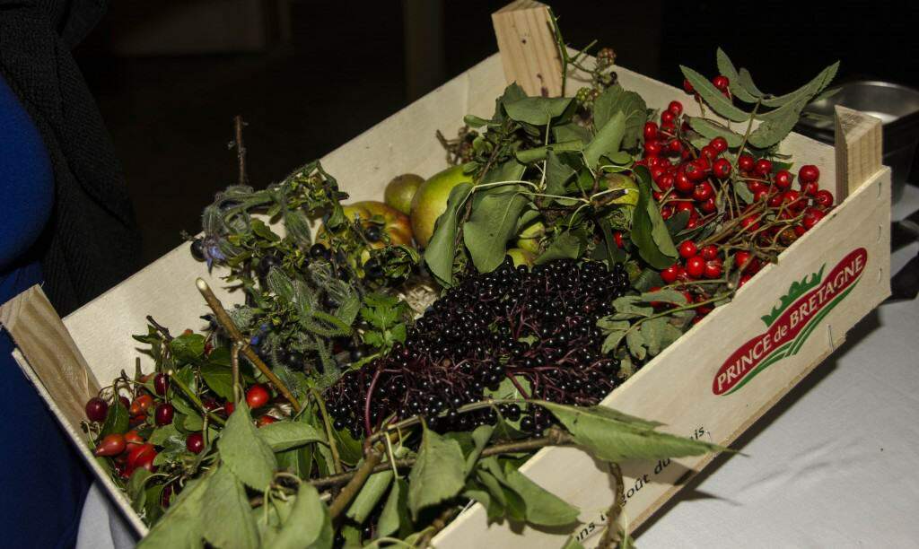 Locally sourced and foraged berries and fruits