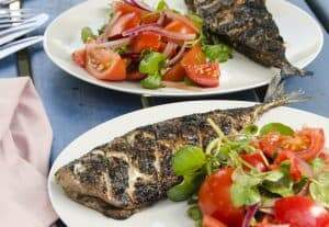 grilled bbq mackerel with a tomato salad
