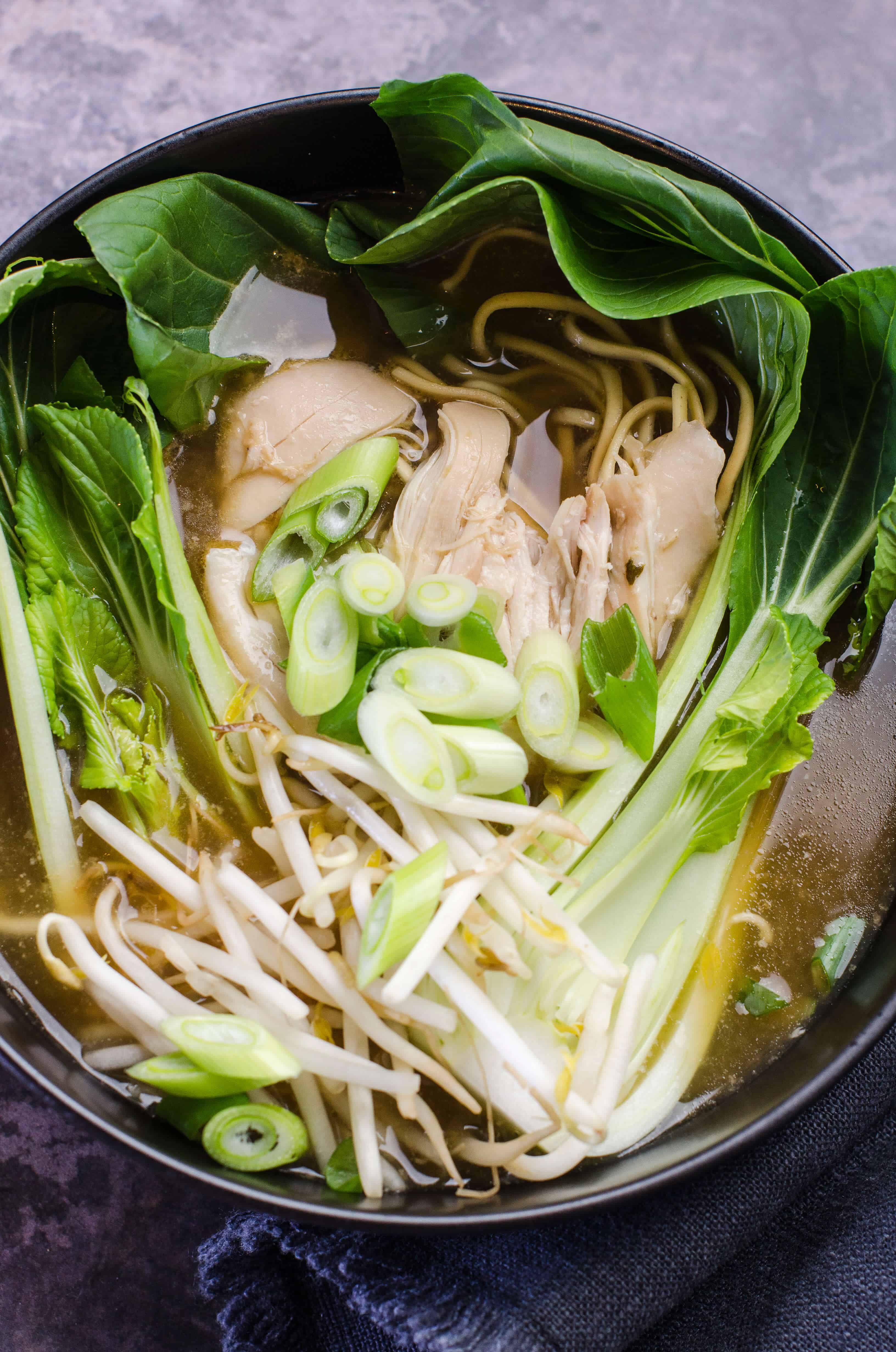 Chicken stock noodle soup recipe