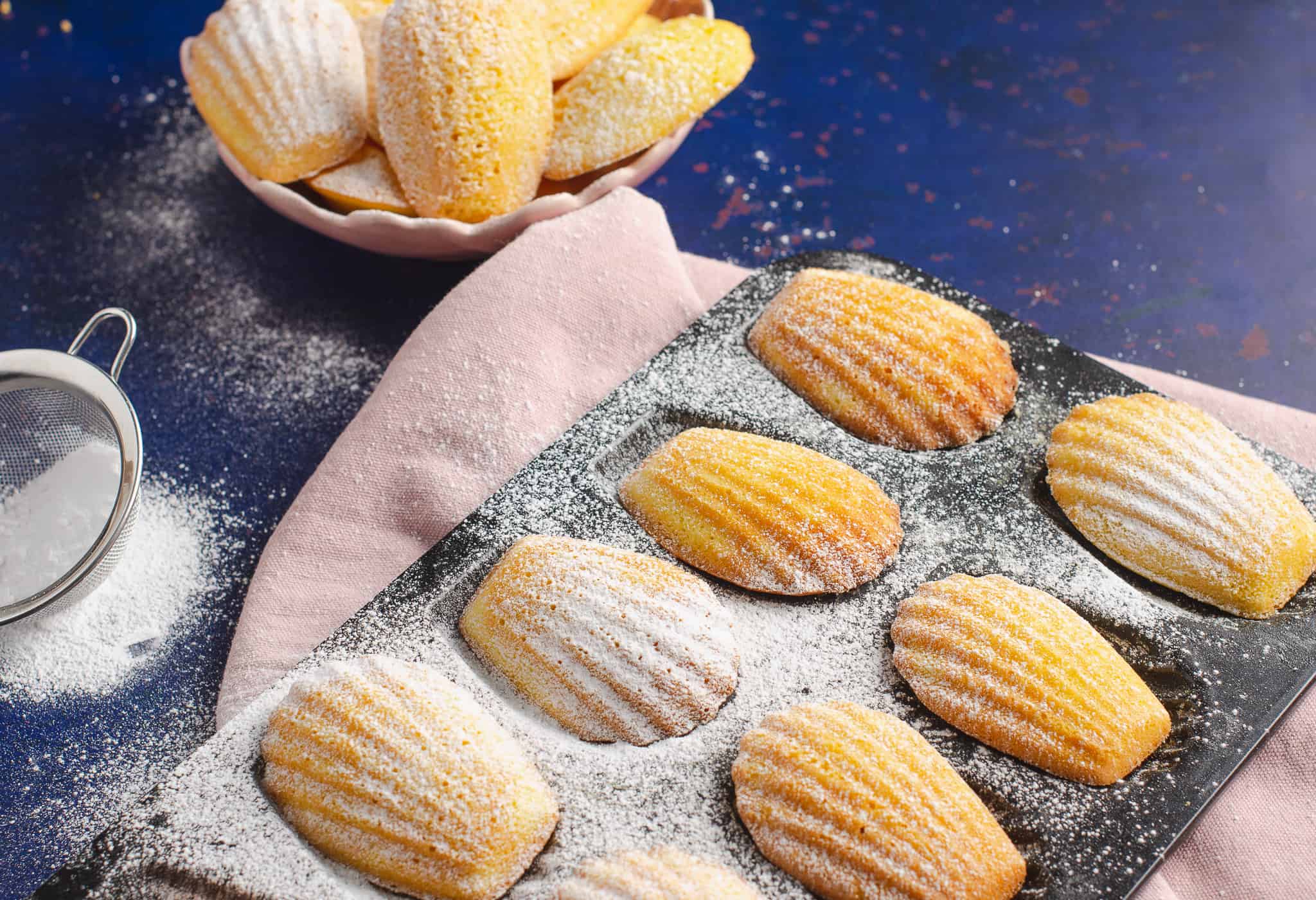 Madeleines in a baking tray dusted with icing sugar on dark blue backdrop