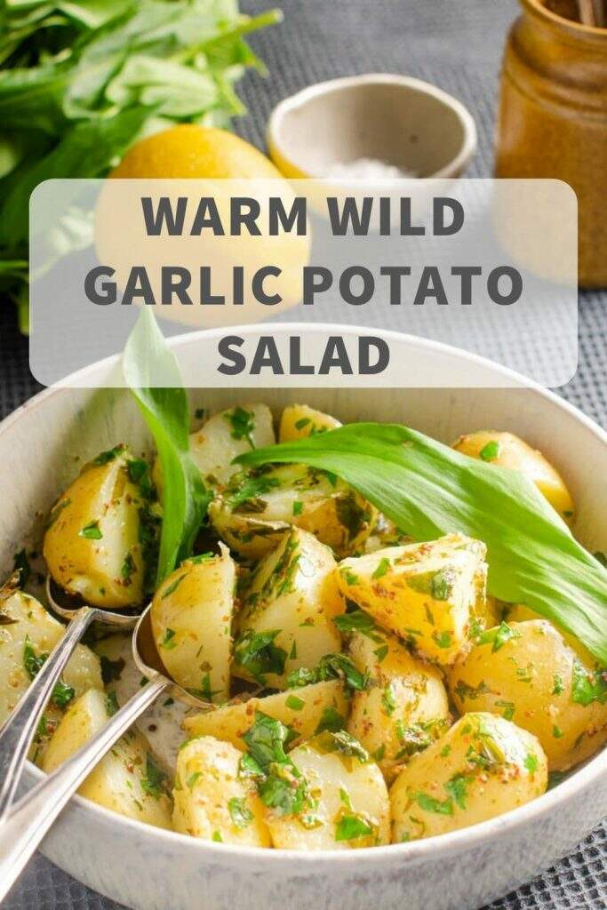 Delicious warm potato salad with fresh picked wild garlic, mustard and lemon juice. A perfect springtime dish made with the tender leaves of wild garlic which grows plentiful in Scotland.