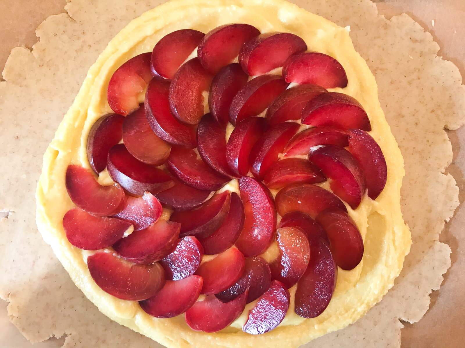 Sliced plums in a fan pattern on top of pastry topped with frangipane.