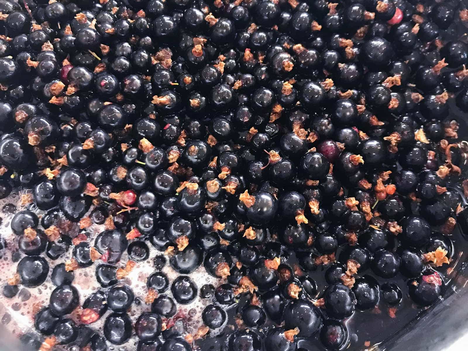 Fresh blackcurrants in a pan about to be made into a smooth jam / jelly.