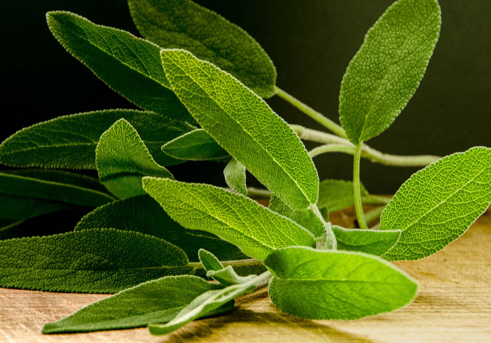 A large fresh bunch of sage on a wooden board.