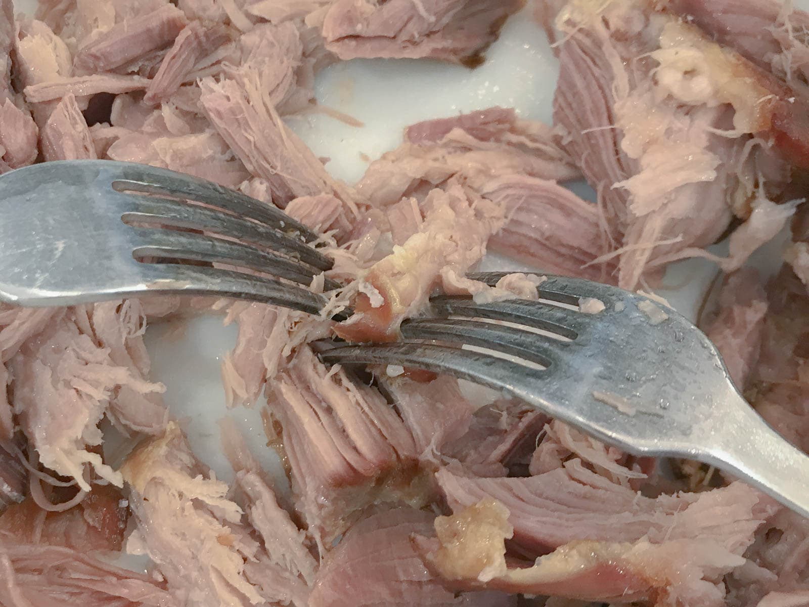 two forks showing how to "pull' apart cooked pork shoulder.