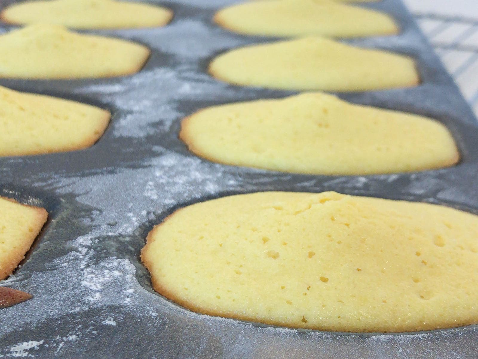 madeleines from the oven freshly baked.