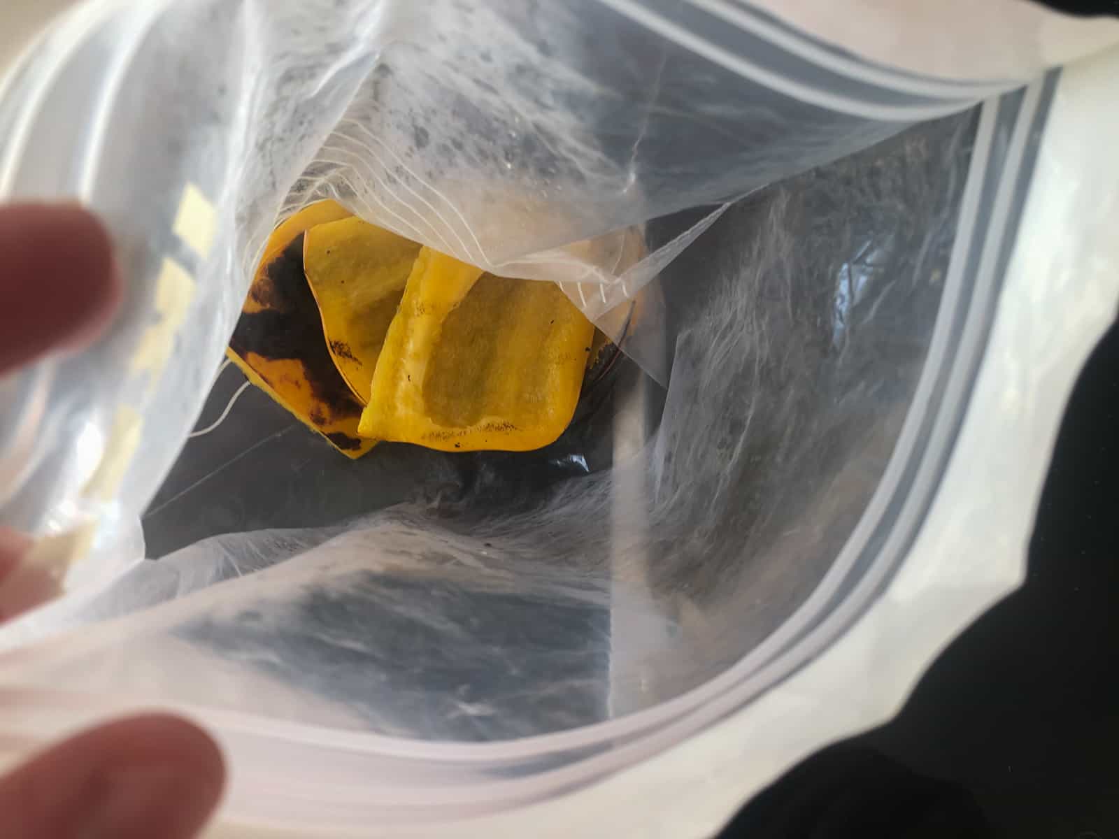 Grilled peppers placed in a plastic bag to allow the skin to steam off.