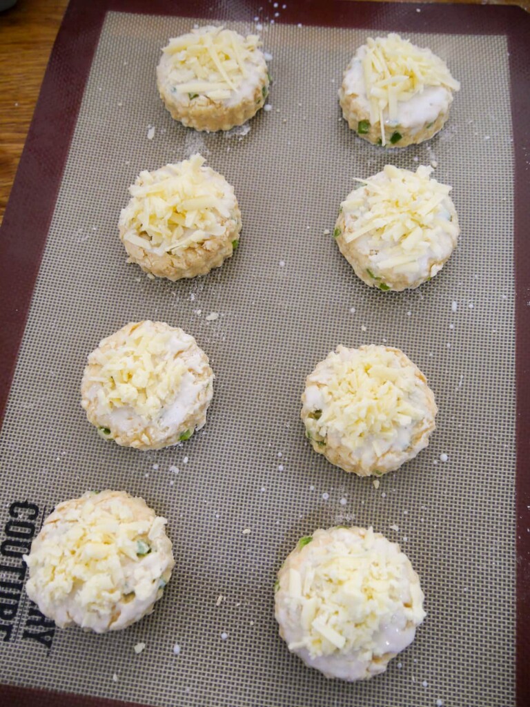 A baking sheet lined with a silicone liner, topped with 8 circular cut scones, topped with grated cheese.