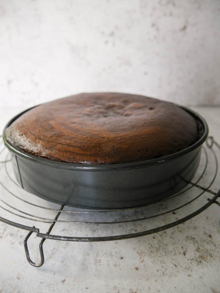 A flourless chocolate coffee walnut cake in the tin, straight out of the oven, and set on a wire rack.