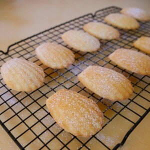 A wire rack of lemon madeleines dusted with icing sugar.