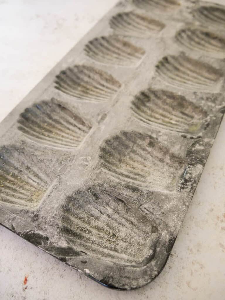 A madeleine tin brushed with melted butter and covered in an even dusting of flour.