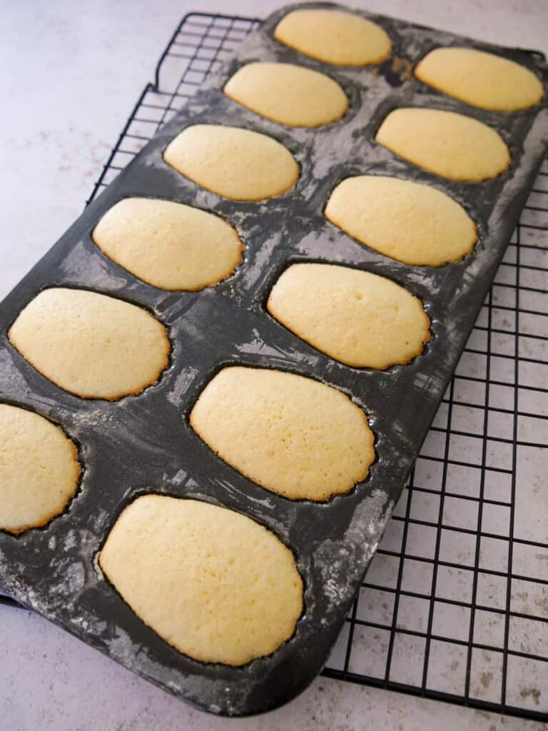 A tray of baked madeleines set on a wire cooling rack.