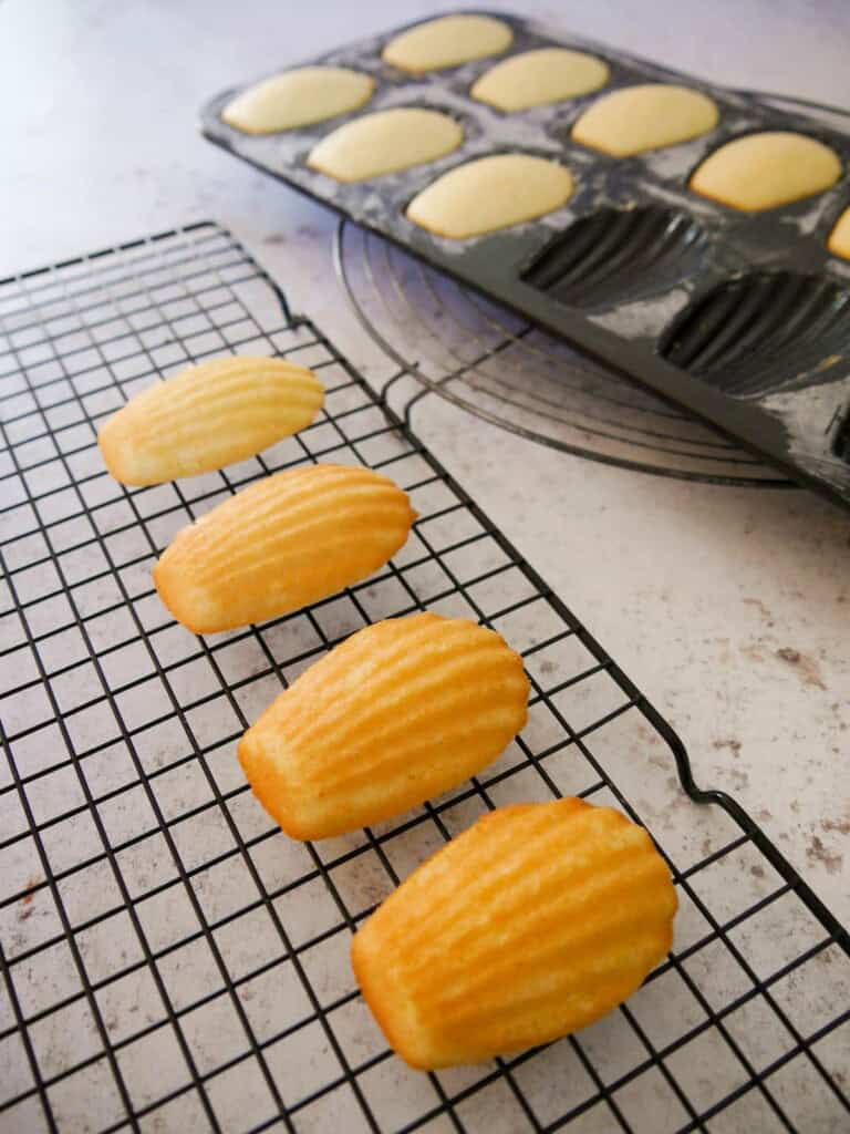 A tray of baked lemon madeleines with some placed on a wire rack to cool.