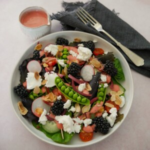A bowl of mixed salad leaves, radish, tomato, cucumber, sugar snap peas, pickled red onions, with goat's cheese and blackberries served with a small jug of raspberry vinaigrette.