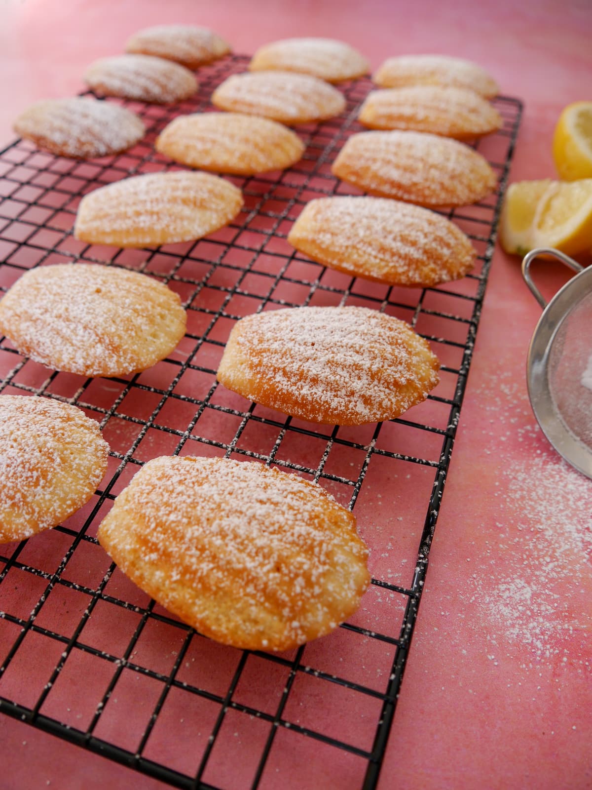 A wire rack of freshly baked lemon madeleines dusted with a little icing sugar.