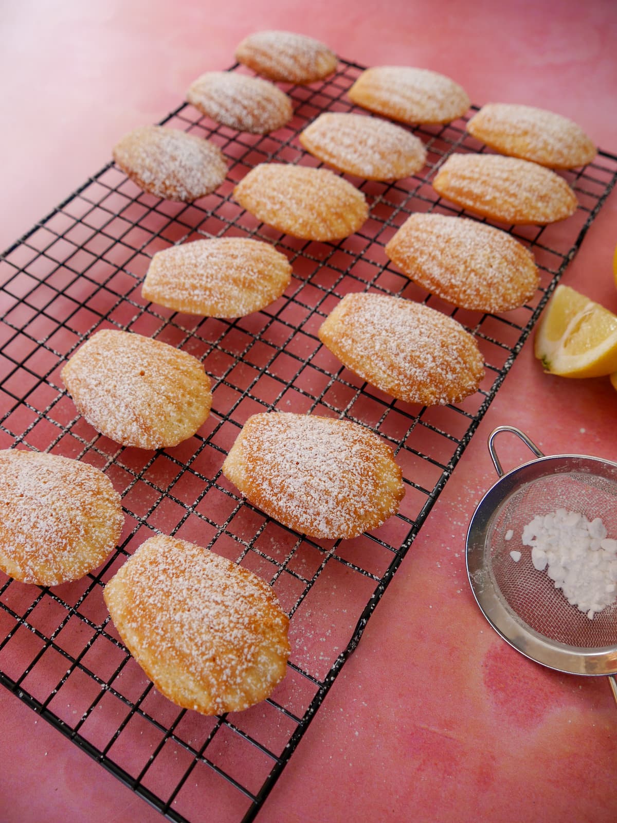 A wire rack of freshly baked lemon madeleines dusted with a little icing sugar.
