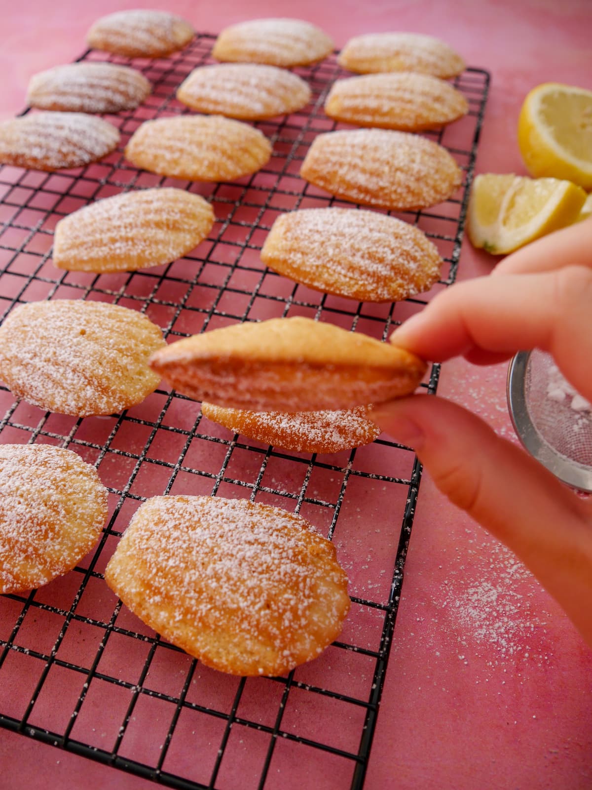 A wire rack of freshly baked lemon madeleines dusted with a little icing sugar, and a hand holding a madeleine.