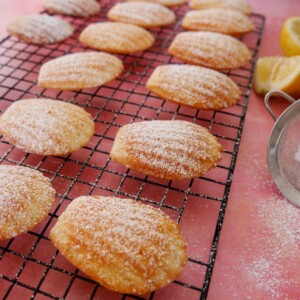 A wire rack of freshly baked lemon madeleines dusted with a little icing sugar.