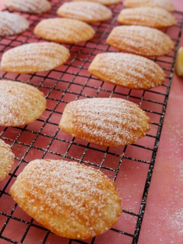 A wire rack of freshly baked lemon madeleines dusted with a little icing sugar.